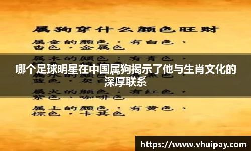 哪个足球明星在中国属狗揭示了他与生肖文化的深厚联系